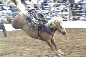 Cowtown Rodeo 2