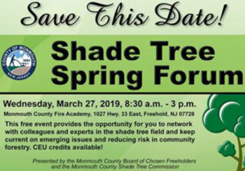 Shade Tree Spring Forum